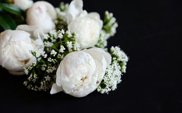 Fresh white peonies on a black, dark background. A condolence card. Wedding date. An invitation
